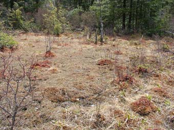 community photo